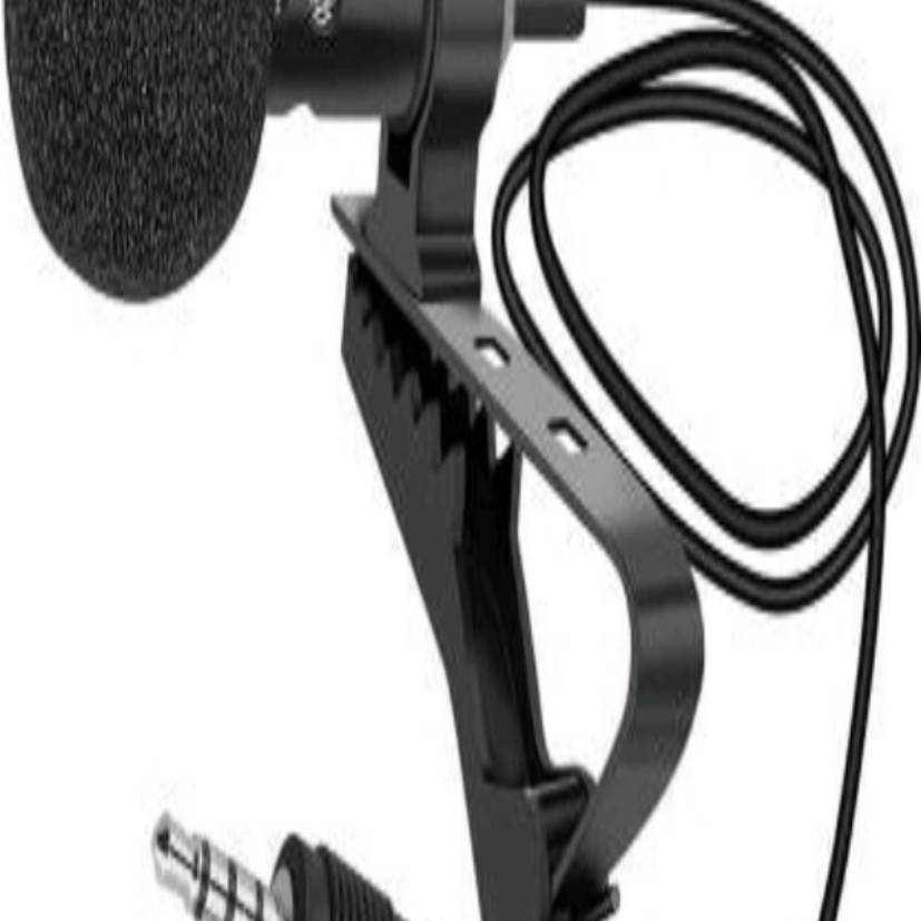 Microphone