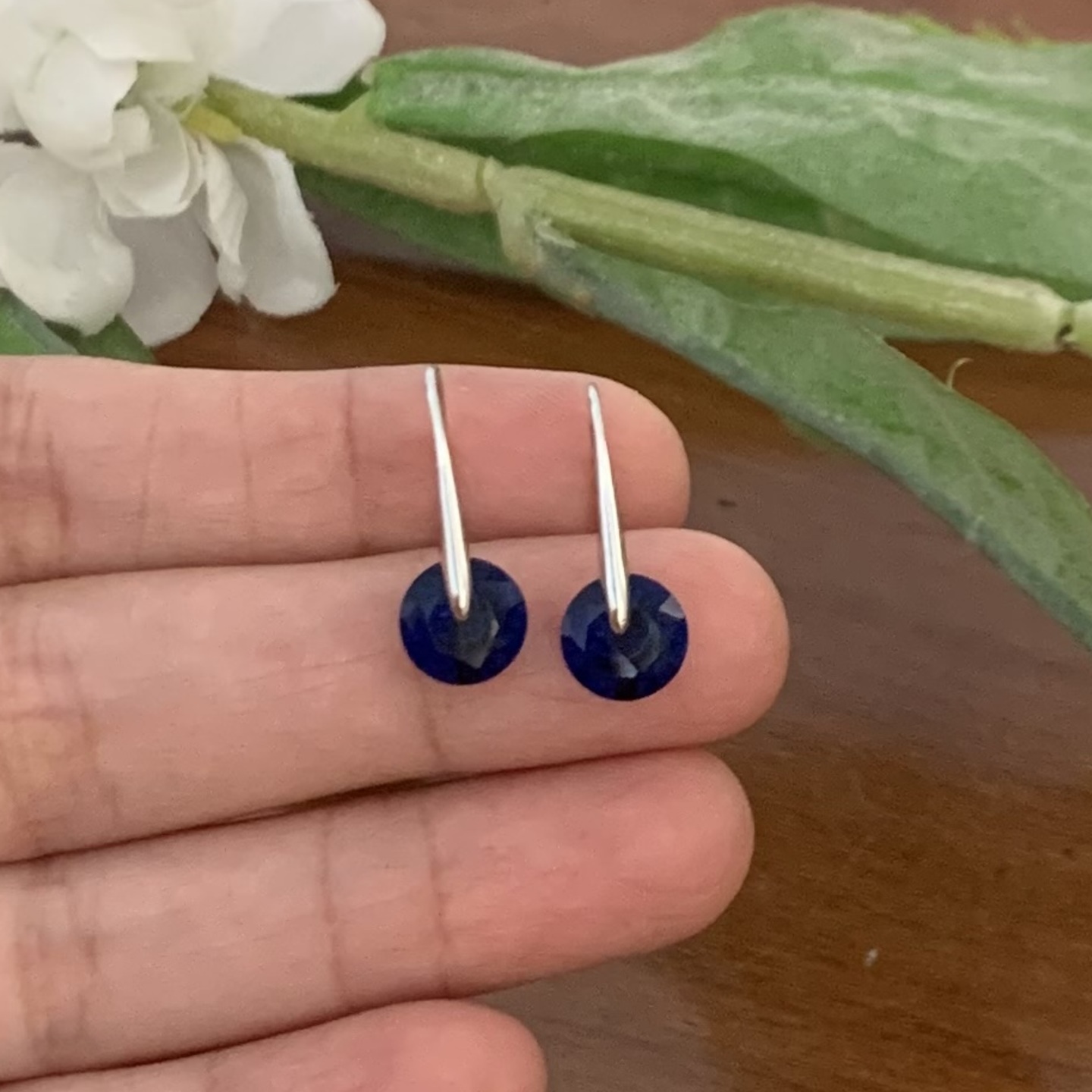 Aara Rhodium Hook Earring - Blue