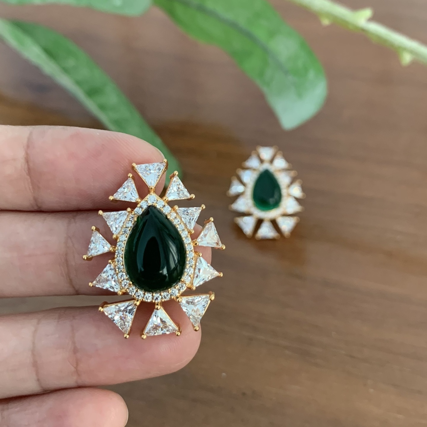 Vaidehi CZ Earring