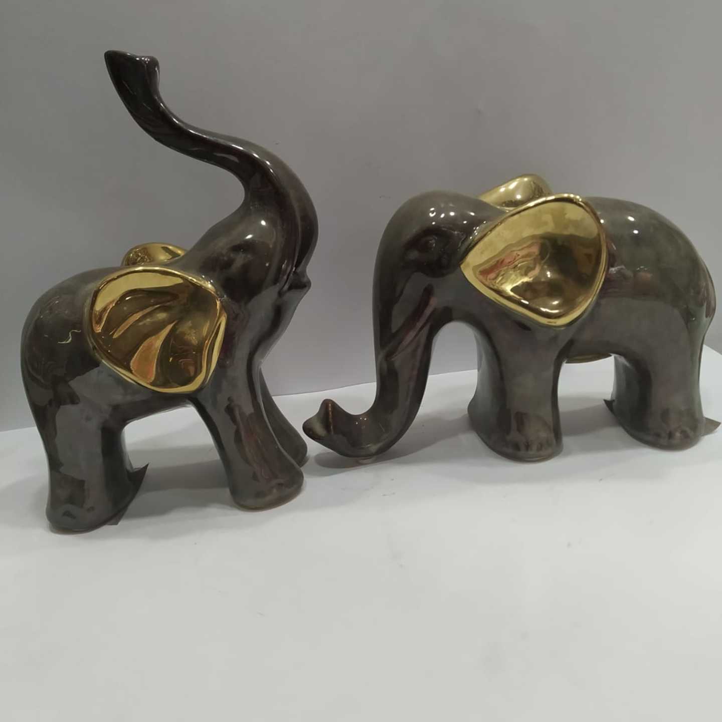 Elephant in Pair