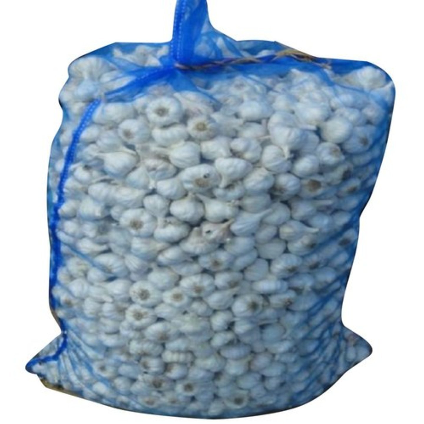 Garlic 1 bag (30 kg)