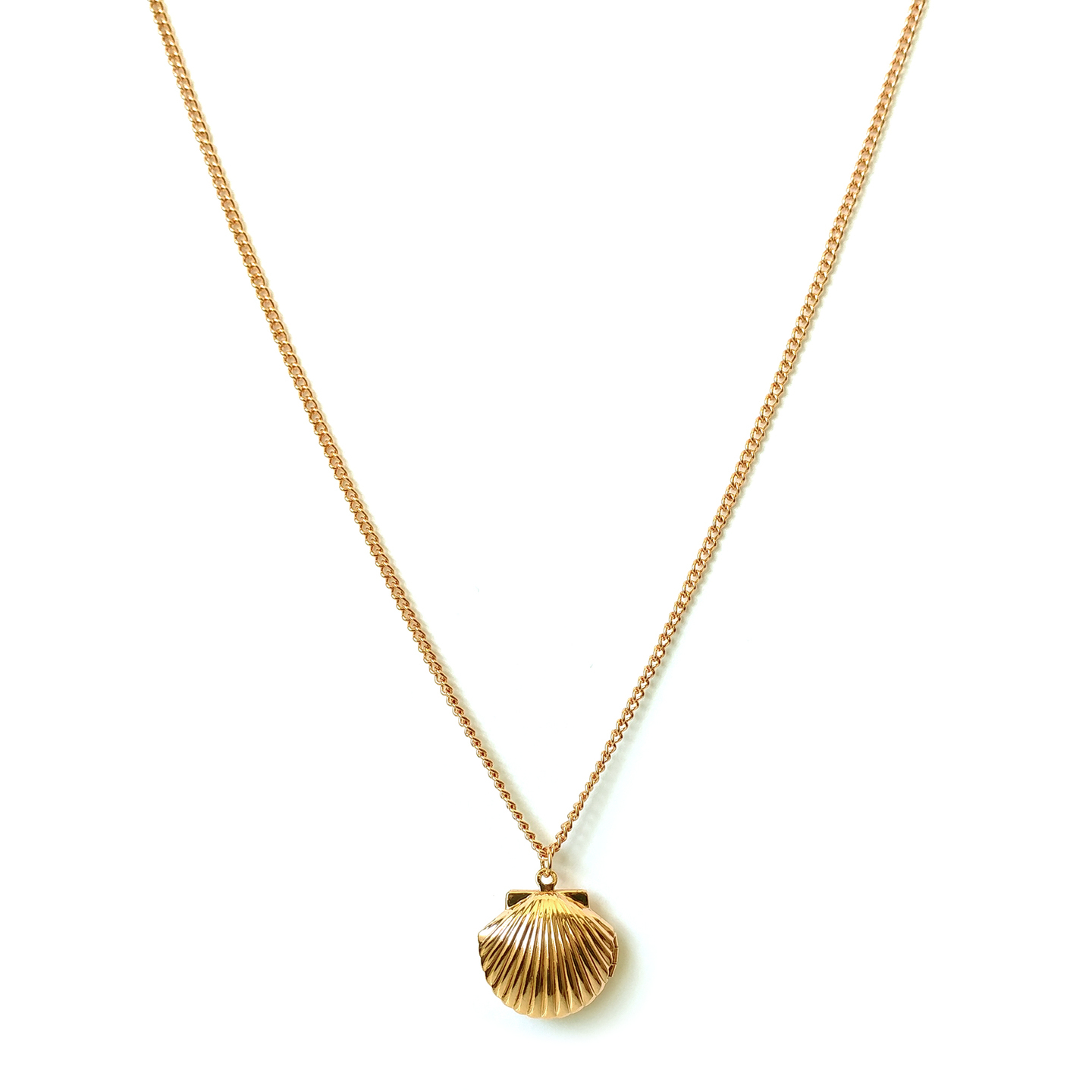 Charov Shell Locket Necklace in Gold