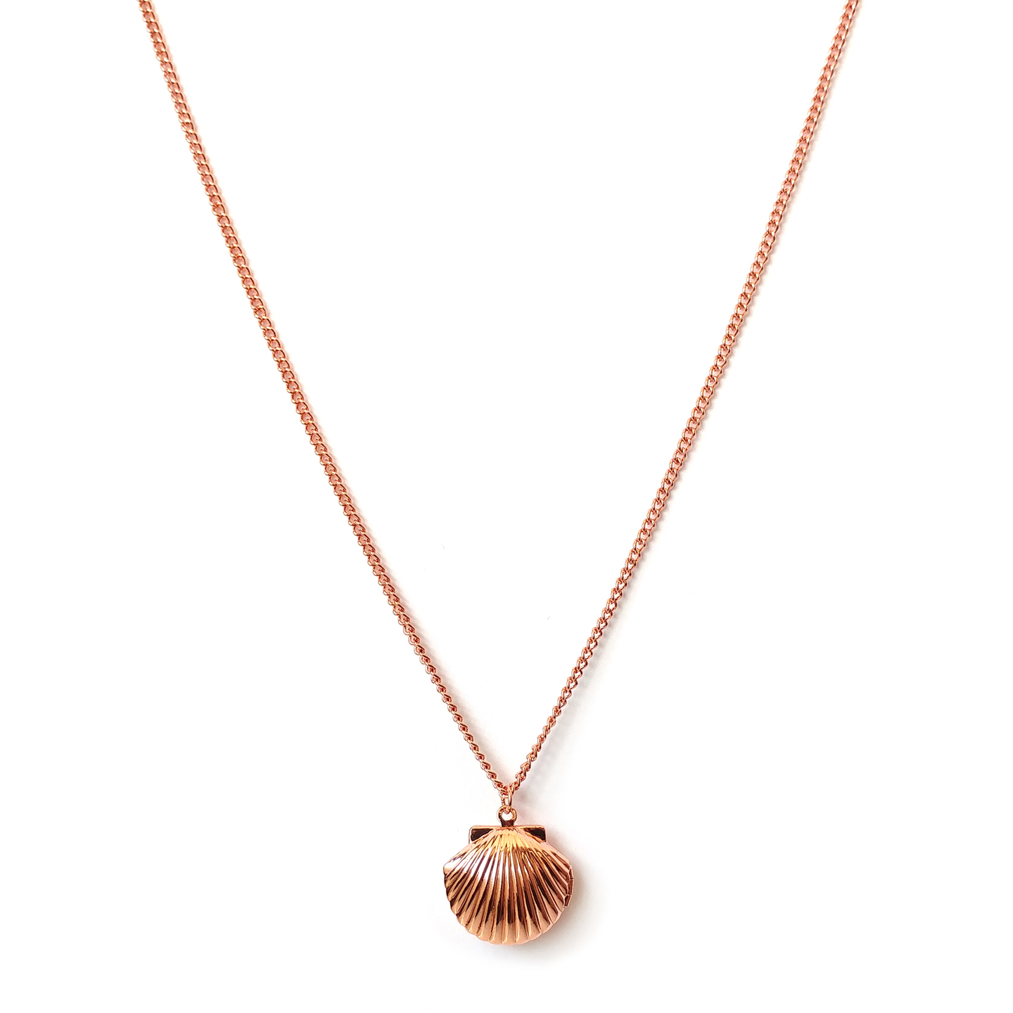 Charov Shell Locket Necklace in Rose Gold