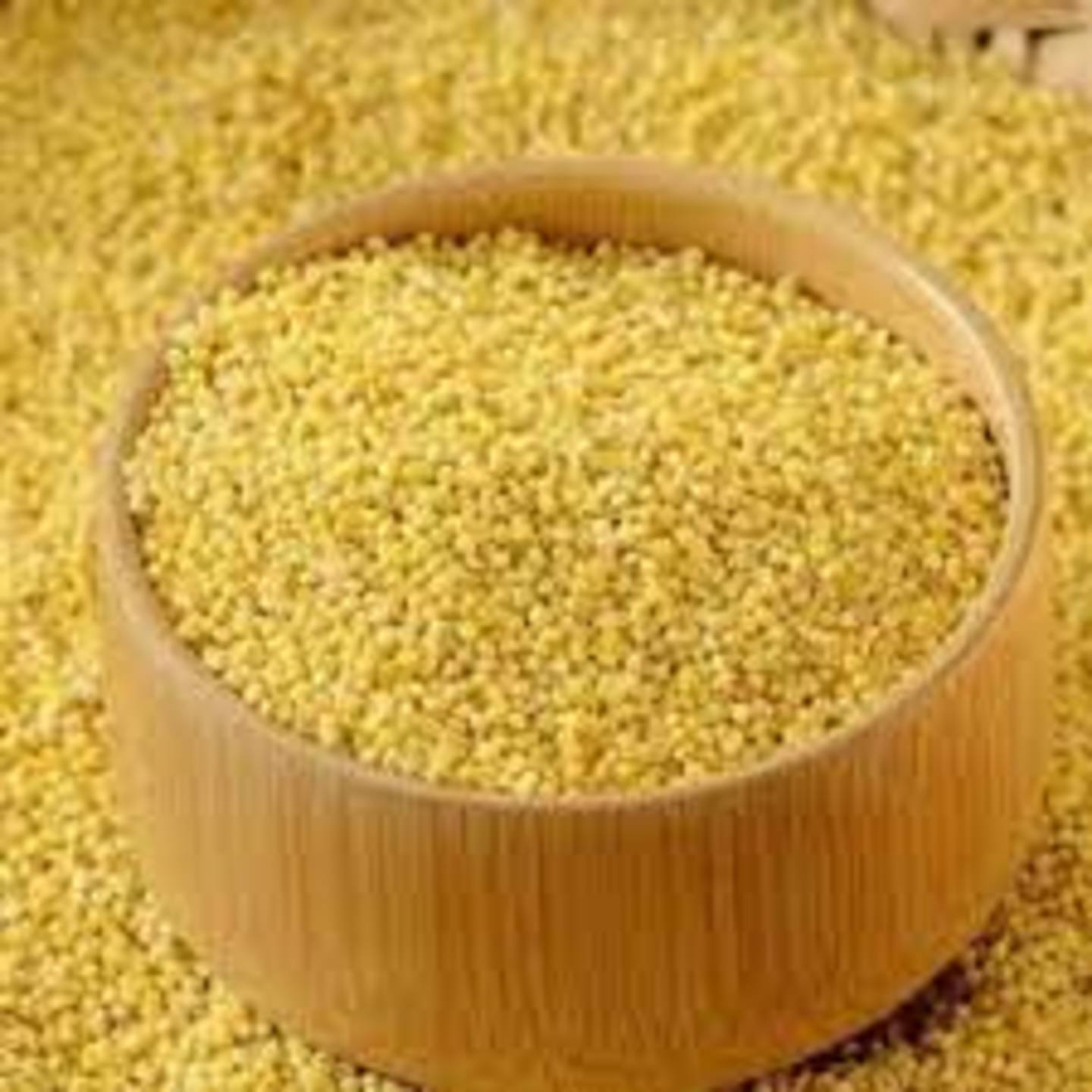 Organic Foxtail Millet 500gms