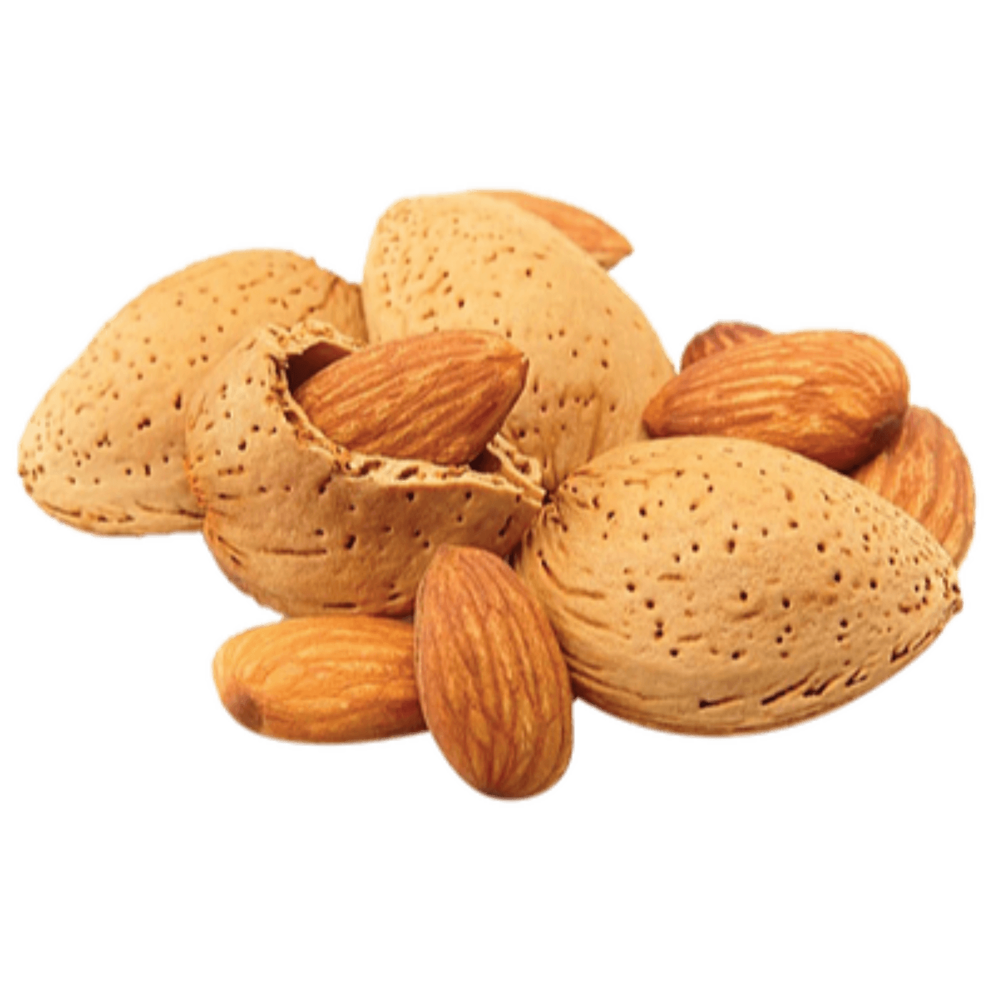 Kashmiri Almonds with shell Kagzi