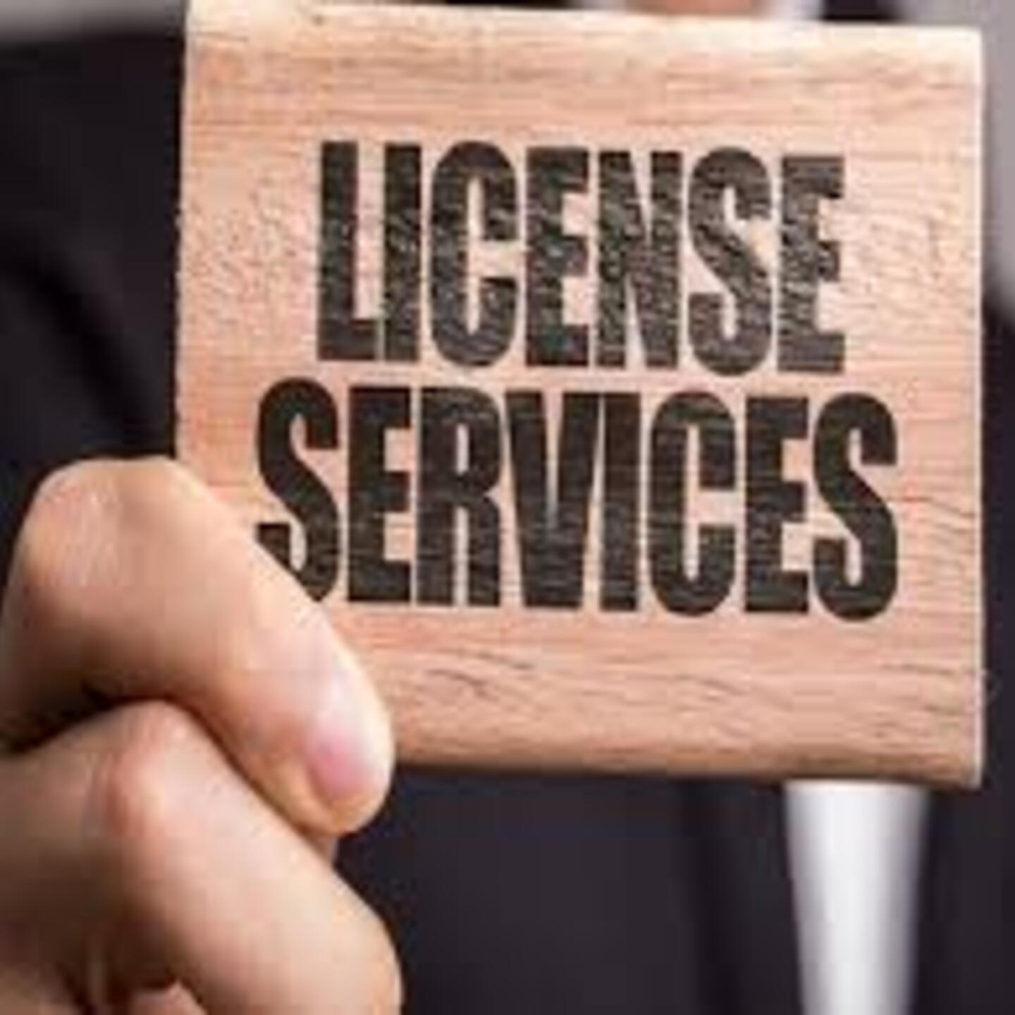 Government Licensing Services in India