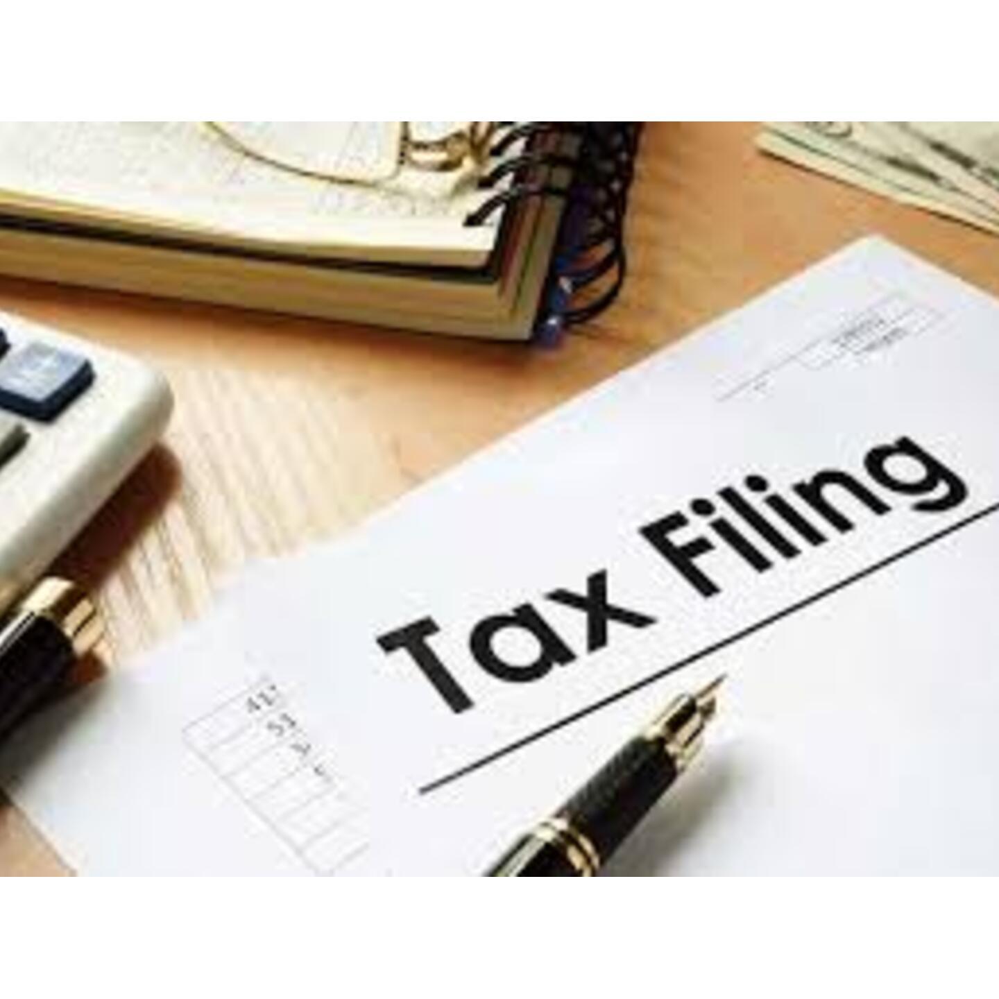 India Government Tax Filing Services