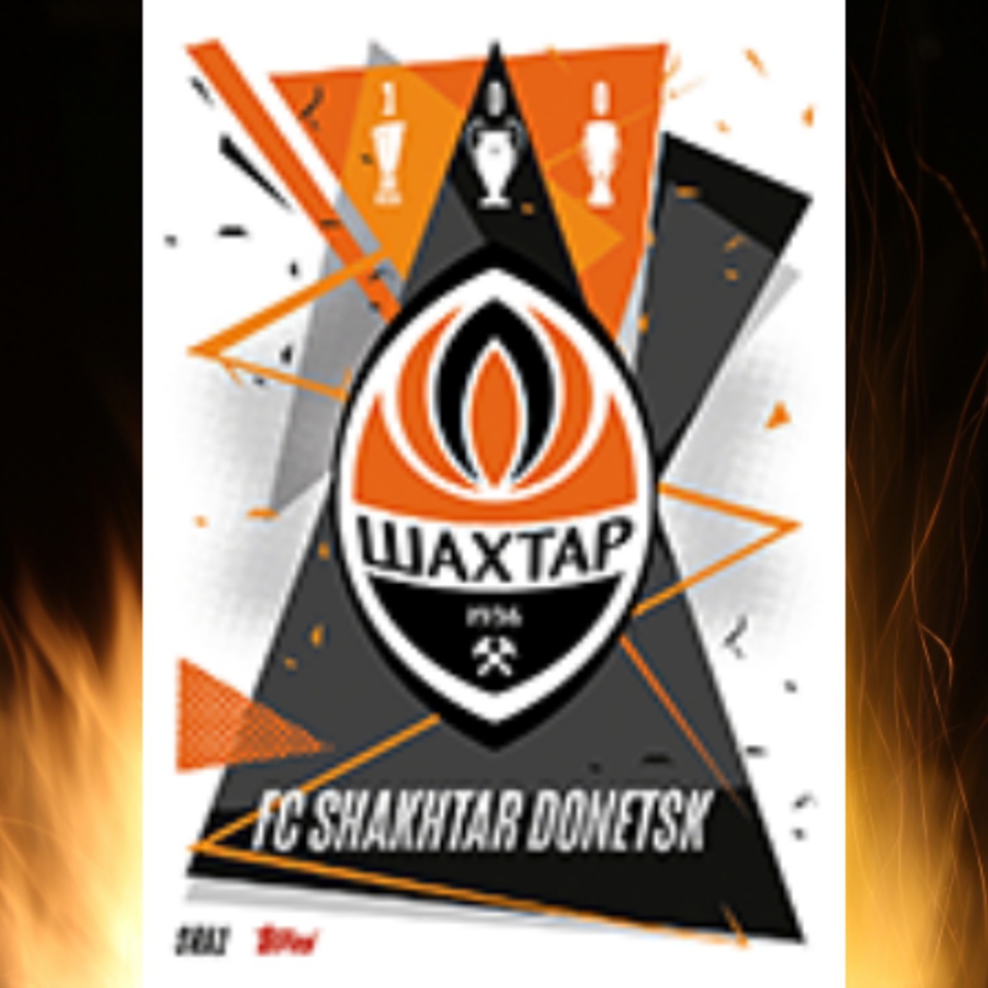 All FC Shakhtar Donetsk Individual Cards
