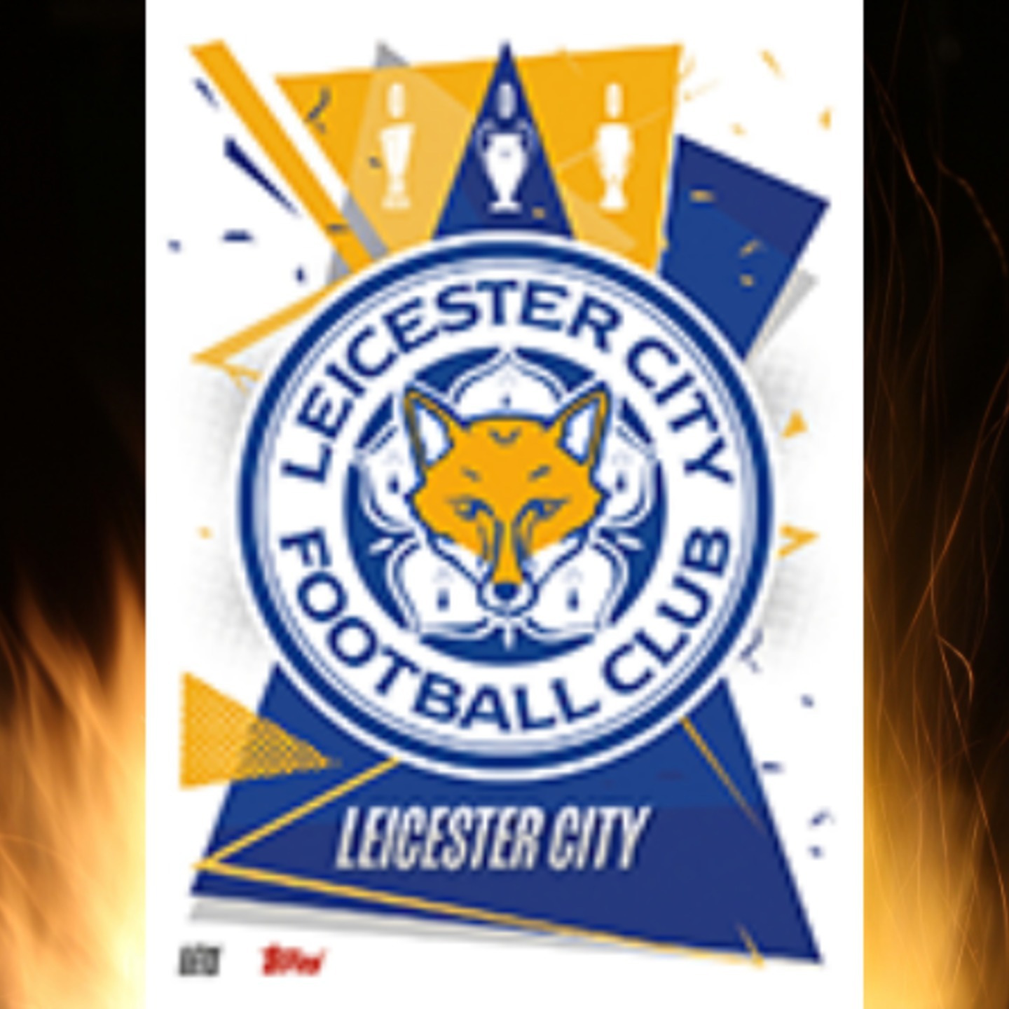 All Leicester City Individual Cards