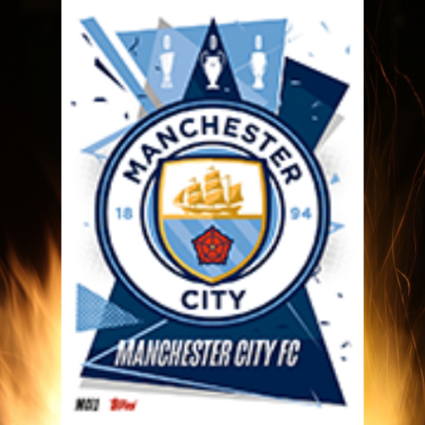 All Manchester City Individual Cards