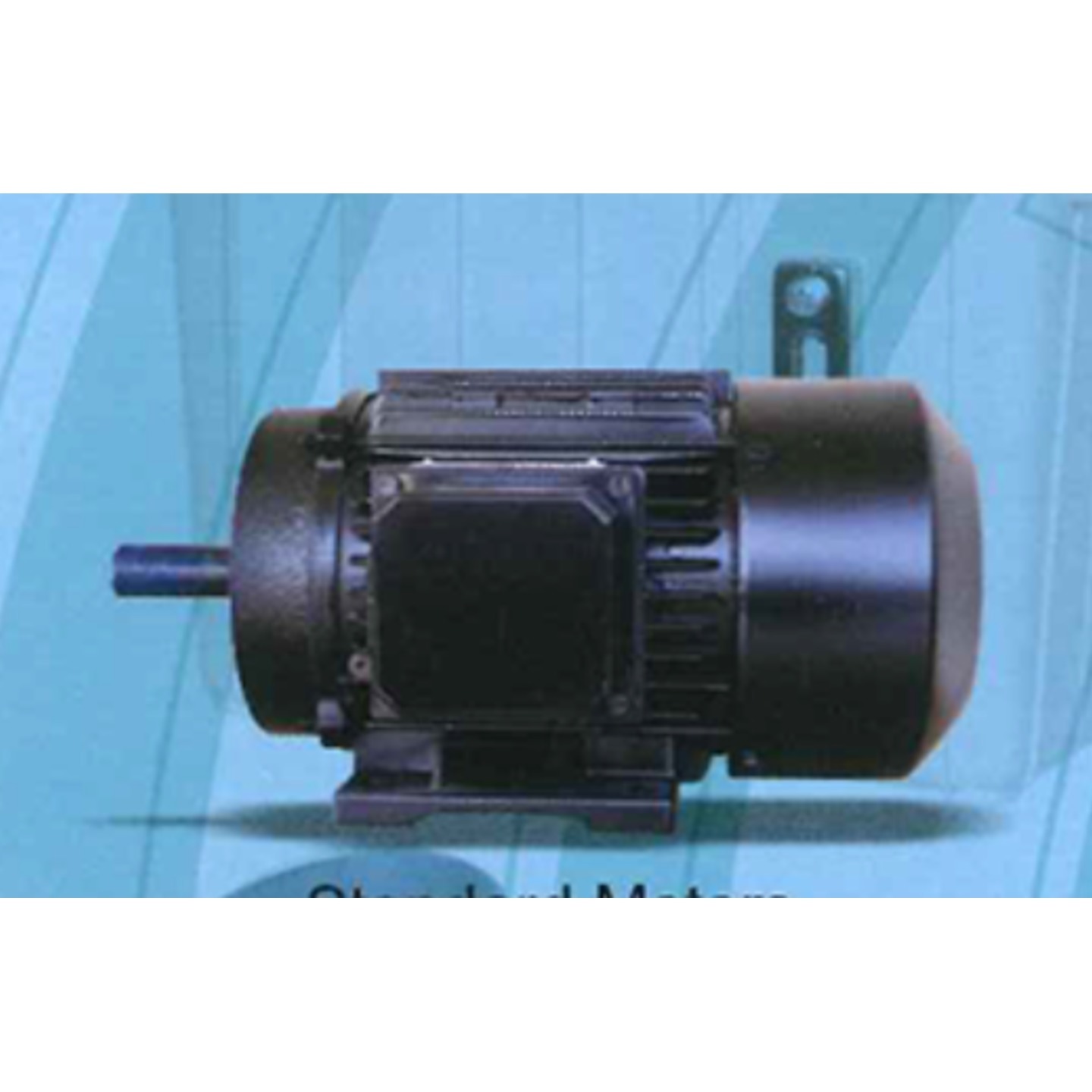 STANDARD MOTOR