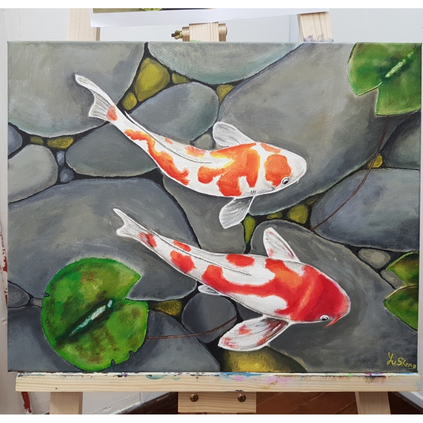 Koi