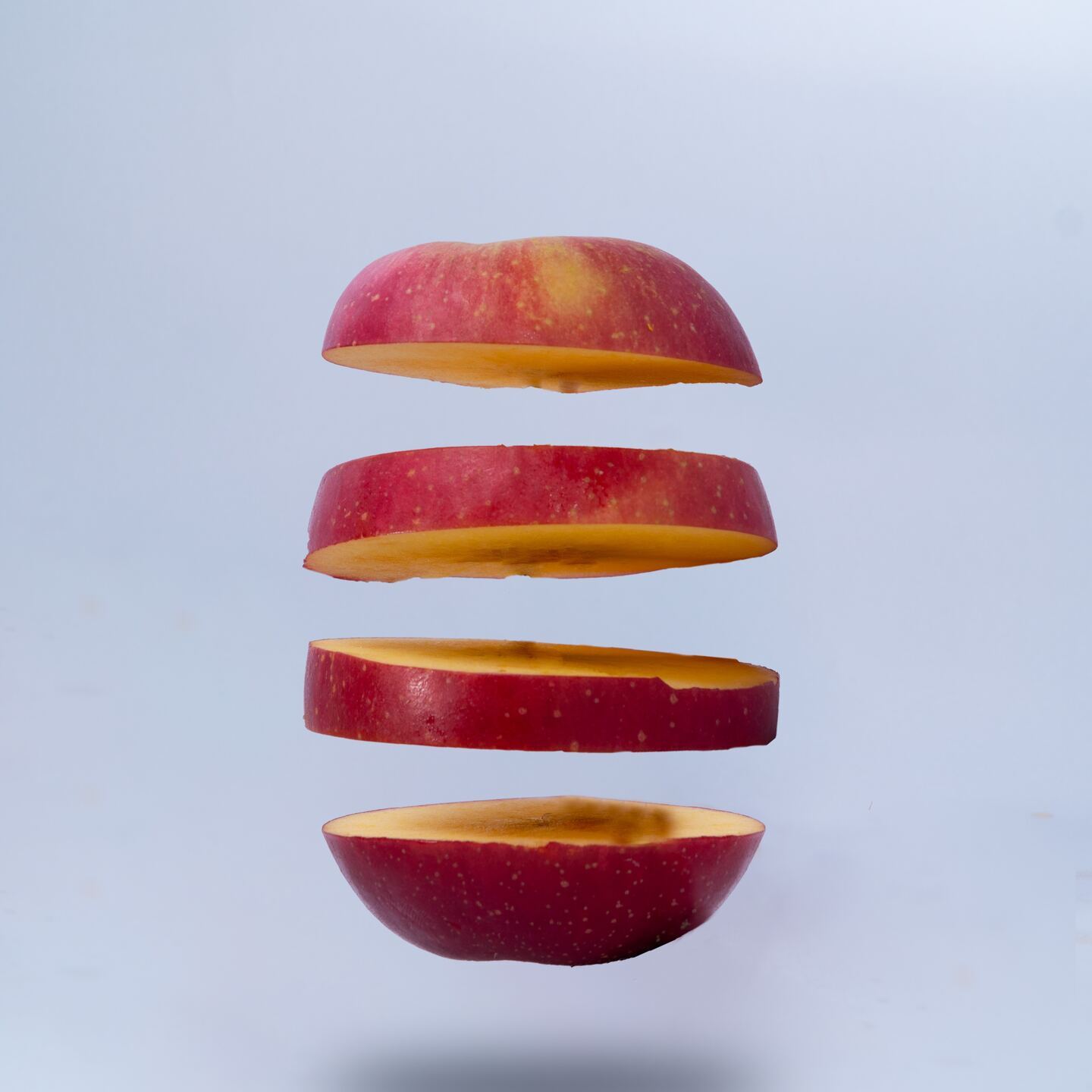 Apple Orchard