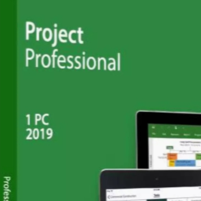 Microsoft Project Professional (Windows 10 only)