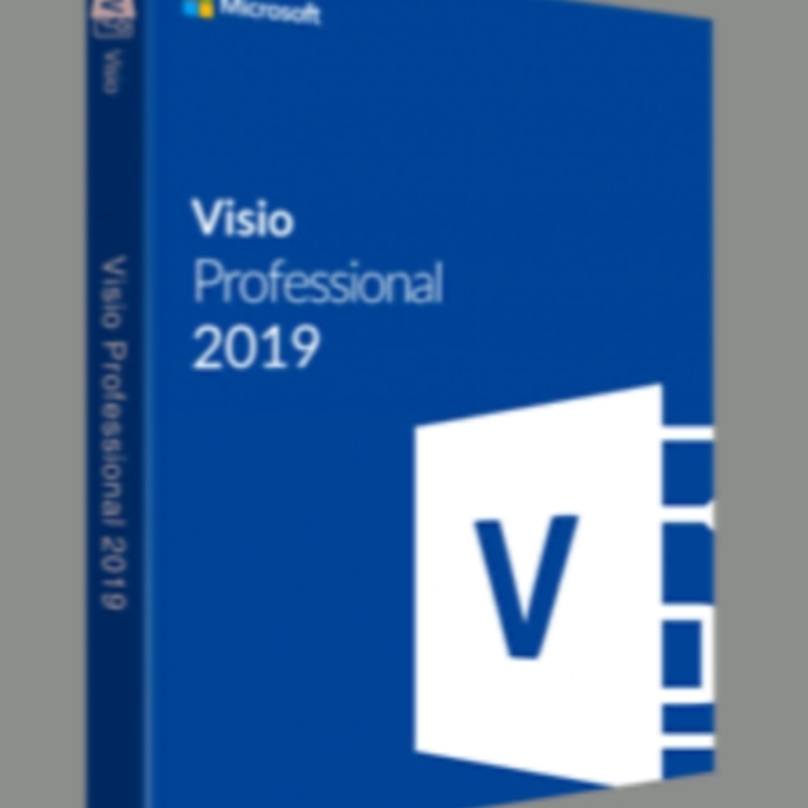 Microsoft Visio 2019. (compatible with windows 10)