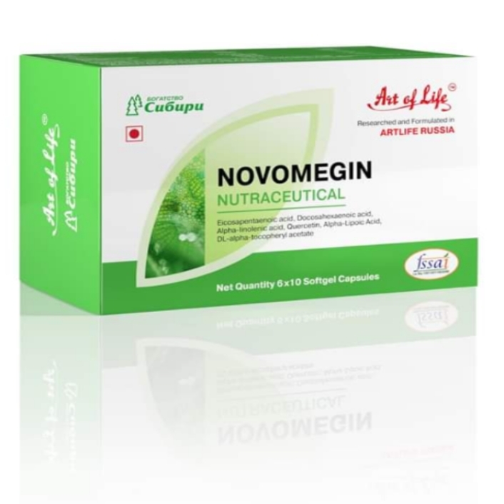 Novomegin