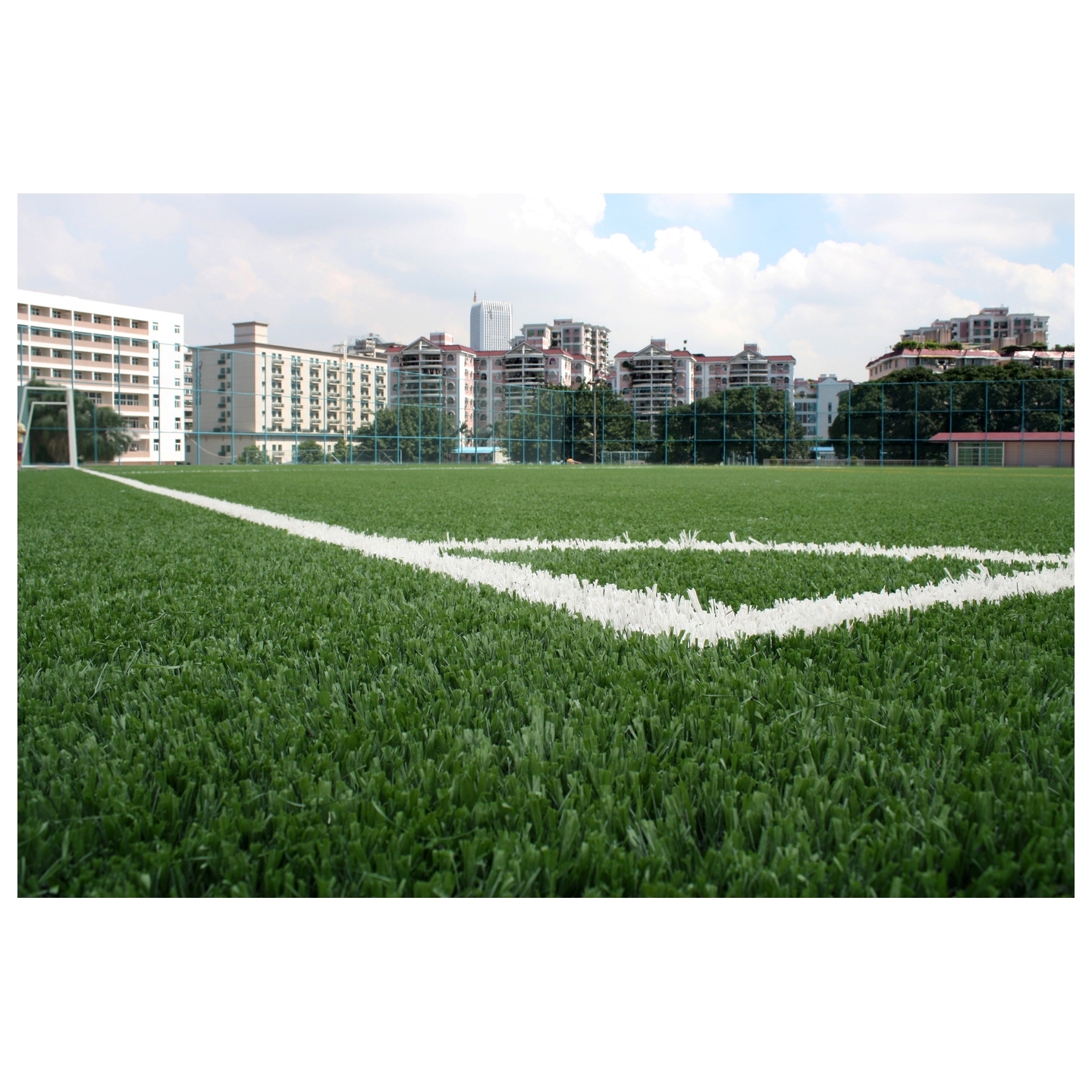 Vitofloor 200 stitches 5x2 m Sports Turf Grass 