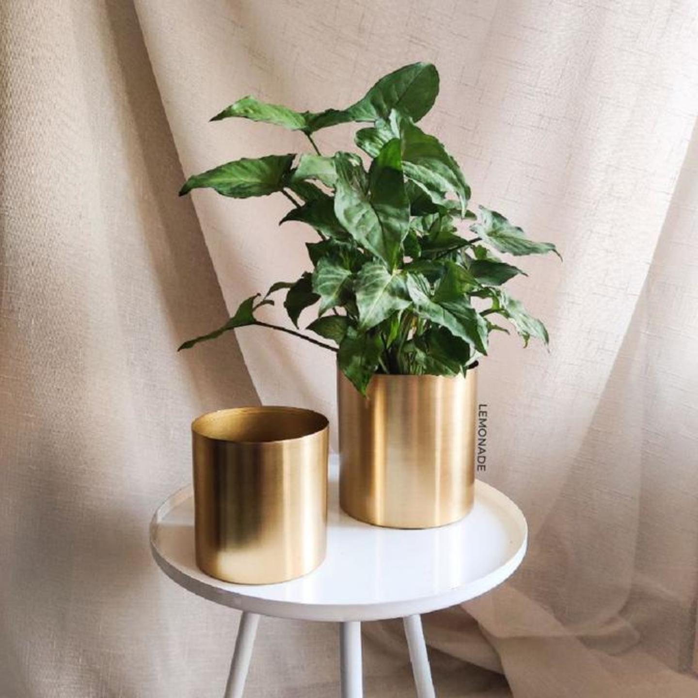 GOLD PLANTERS - SET OF 2