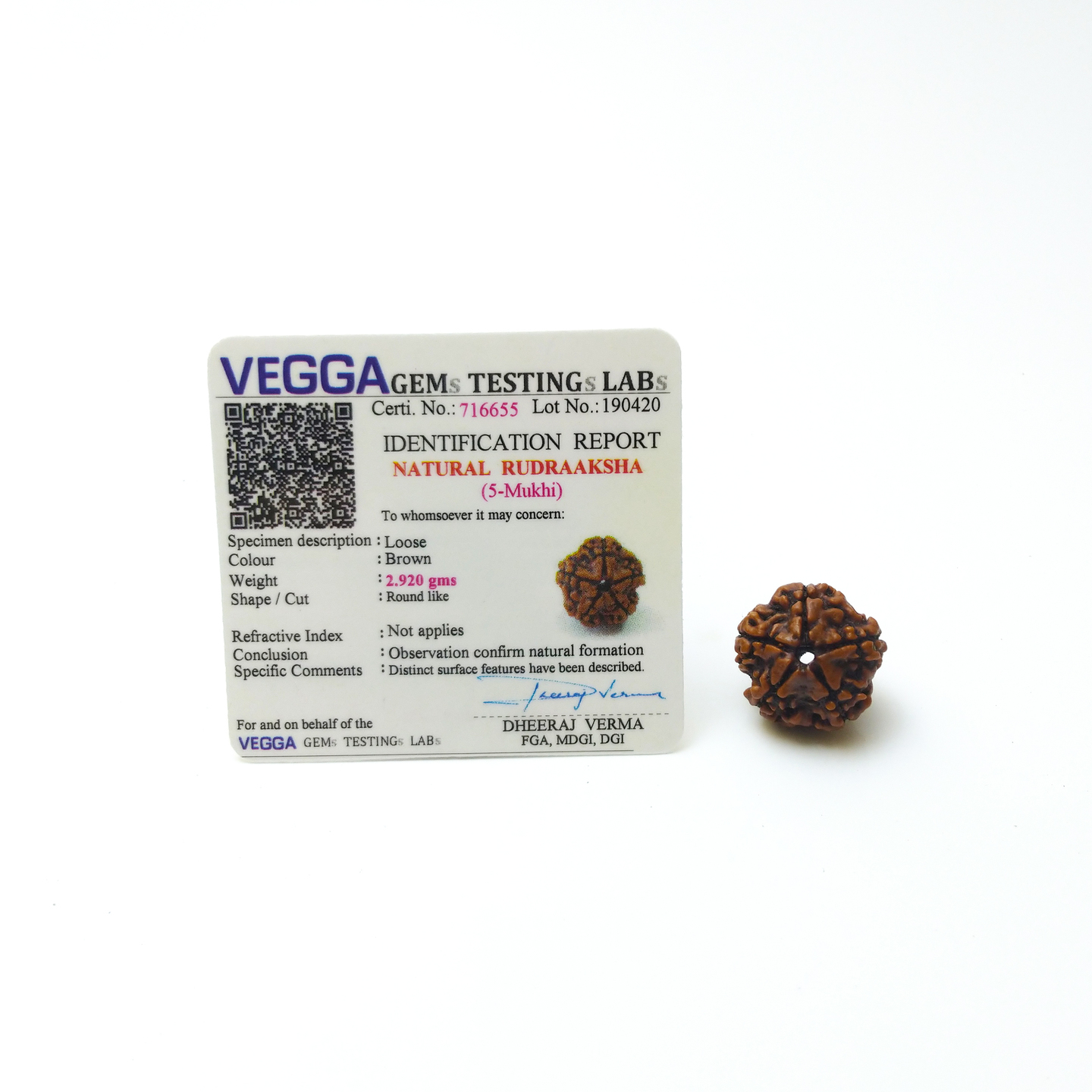5 Mukhi Rudraksh Original - With Lab Certificate