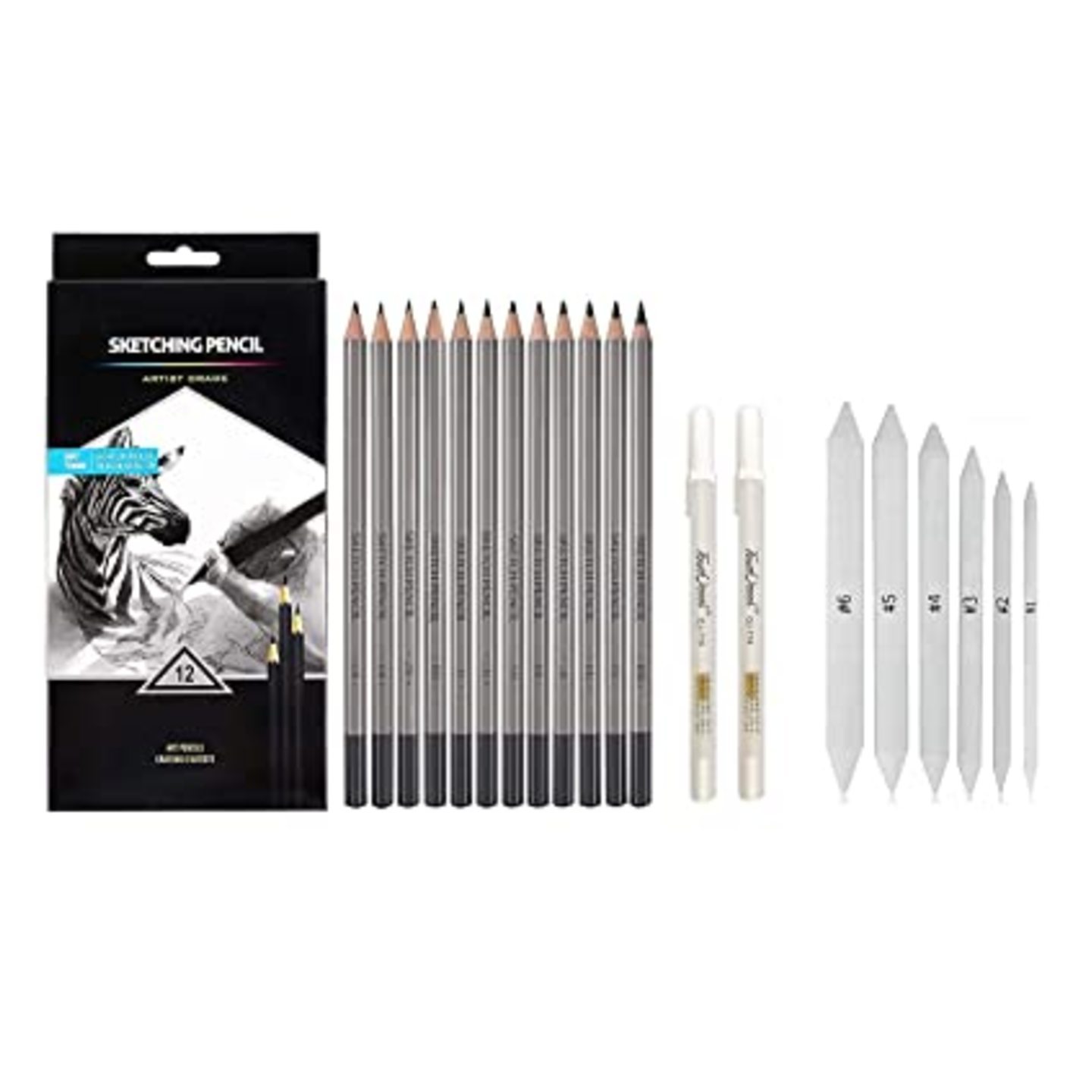 Qatalitic Sketching Pencils Set of 12 Pencils Artist Grade Degree Pencils 10B, 8B, 6B, 5B, 4B, 3B, 2B, B, HB, 2H, 4H and 6H with 6 Stumps & Sand Paper Strip)
