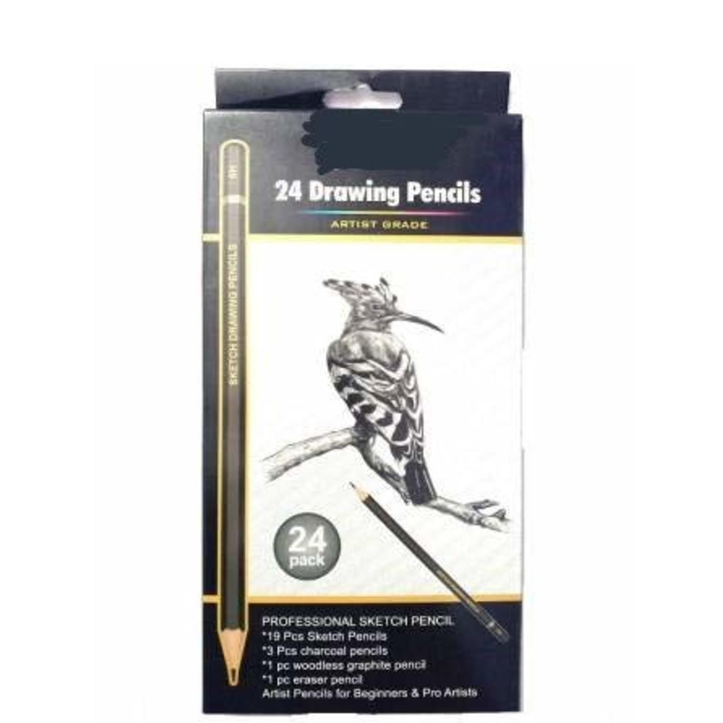Qatalitic 24 Artist Grade Quality Fine Art Drawing & Sketching Pencils - 24Pcs Including 19 Pcs- Sketch Pencils, 3 Pcs- Charcoal Pencils, 1 Pc- Woodless Graphite Pencil, 1 Pc- Eraser Pencil
