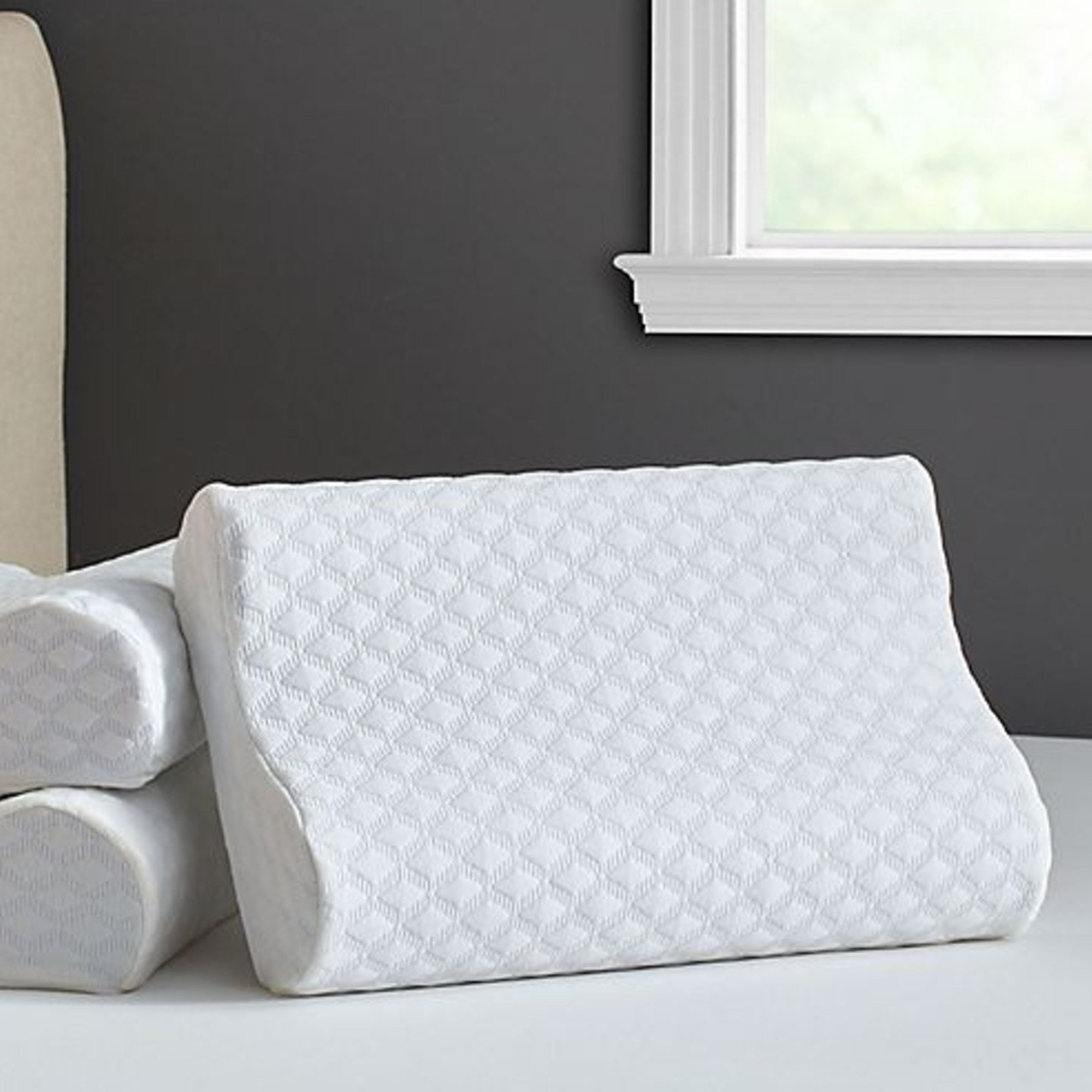 Therapedic Side/Back Sleeper Memory Foam Pillow in White