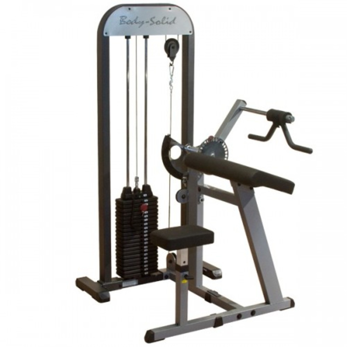 Body-Solid Pro-Select Biceps and Triceps Machine GCBT-STK