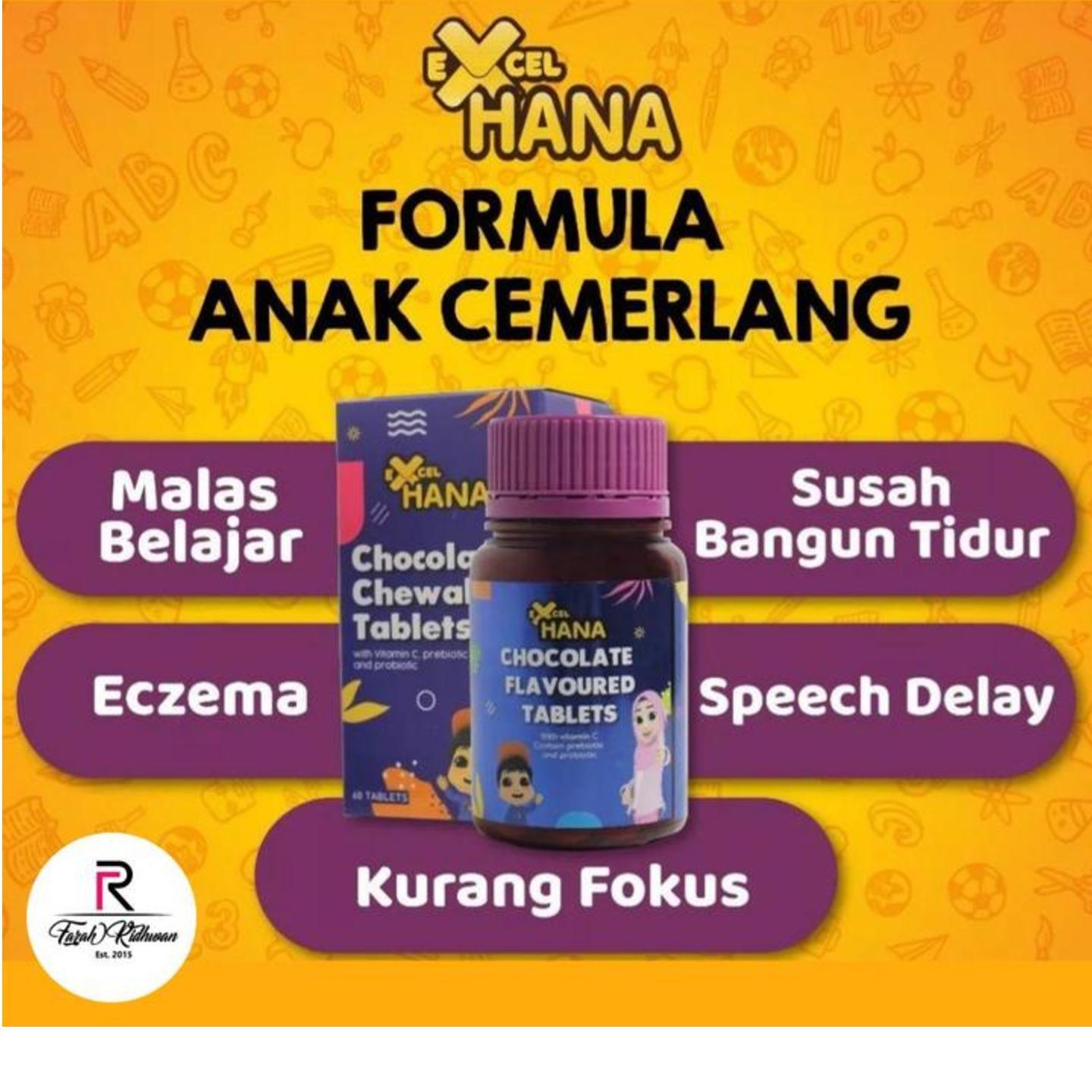 EXcel Hana