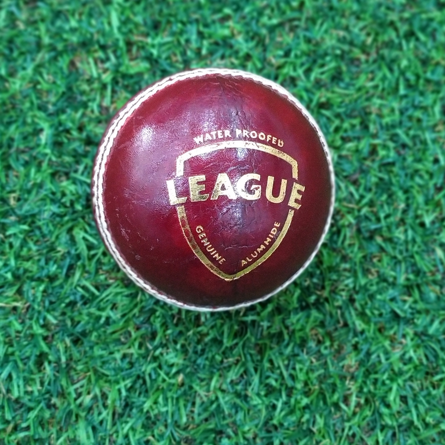 SG LEAGUE CRICKET LEATHER BALL