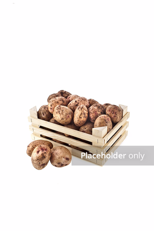 Product Title