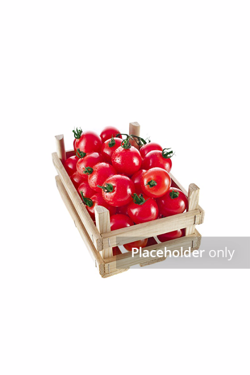 Product Title