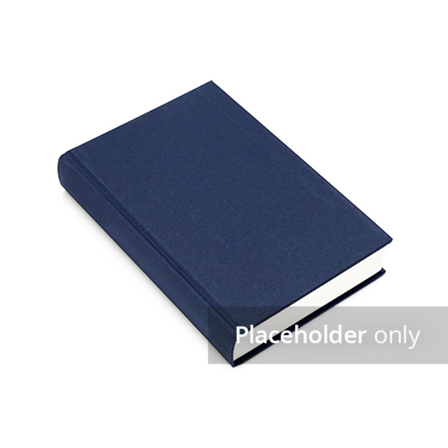 Product Title