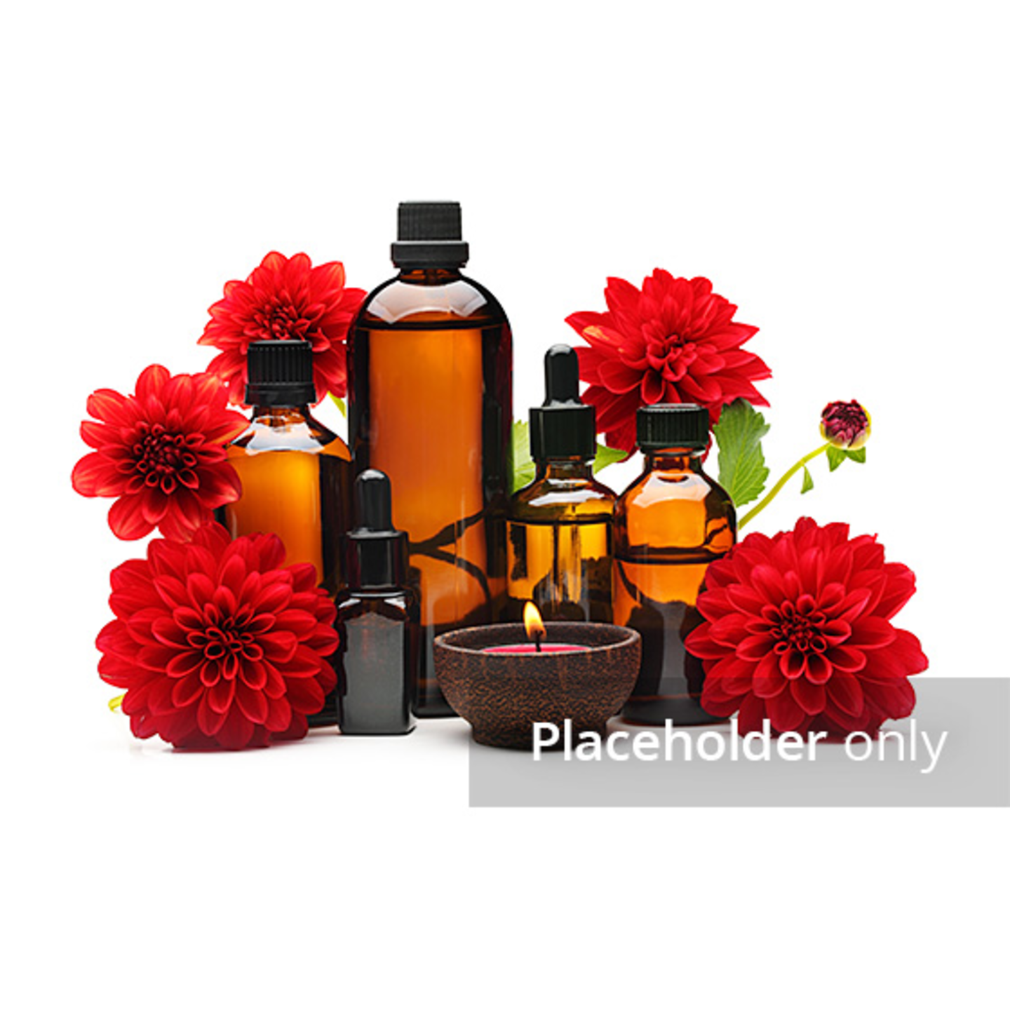Product Title